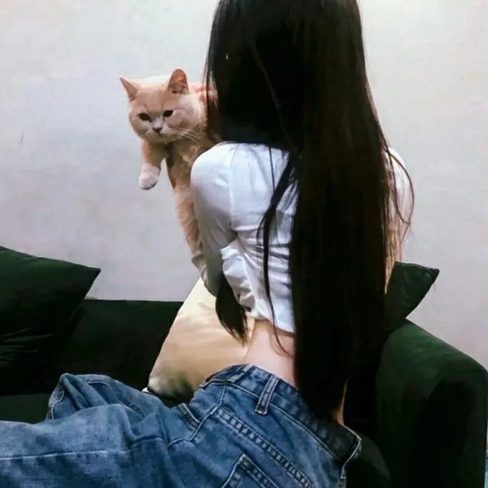 加菲猫的幸福生活第二季